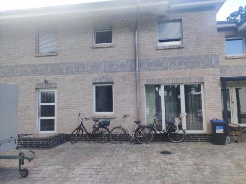 Zwei Buchen in Bremen, Deutschland