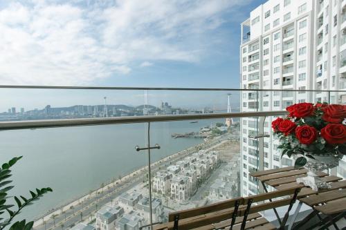 The 1108 sapphire Ha Long