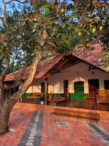 Buitenkant, Vintage Brown by Ophel Homes in Mananthavady