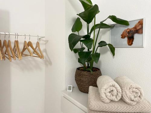 Rooms 34, Schweinfurt (Foto 9)