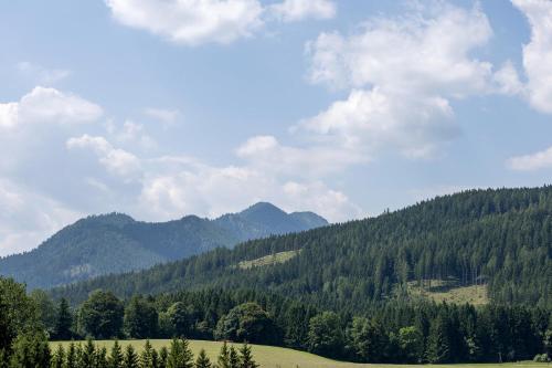 HunGasthaus 03 in Mariazell