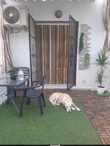 Mi casita