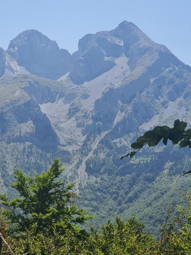 Lekic B&B in Krajista