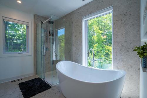 Spa Pool table Lake access - Le 515 Beaulac in Chertsey (QC)