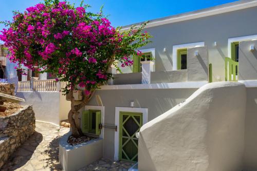 Villa Theoni in Halki