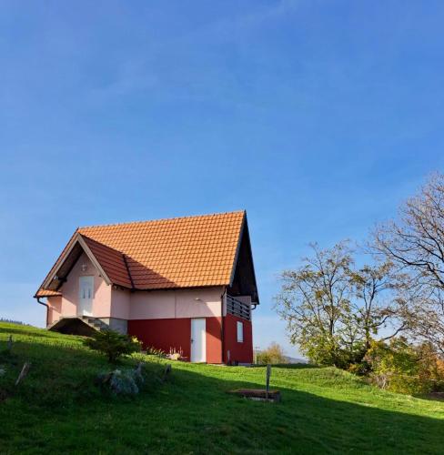 A szálláshely kívülről, Kuća za odmor Boris (Kuca za odmor Boris) in Rača