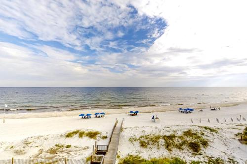Dolphin Key #4B - image 10