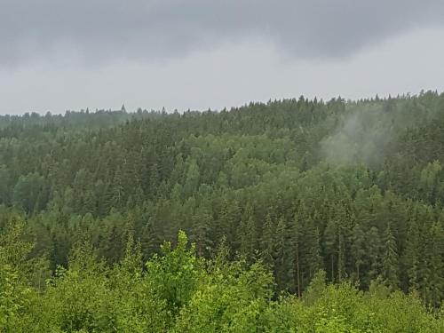 Tranås Vandrarhem - image 5