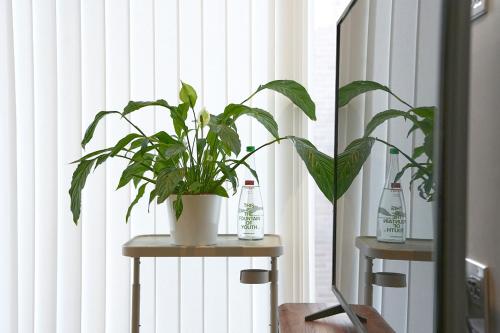 Beautiful apartment, Londres (photo 8)