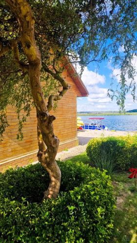 Ambiente nas Imediações, Karczma Rybna Rybaczówka Marina B&B (Karczma Rybna Rybaczowka Marina B&B) in Karsibor