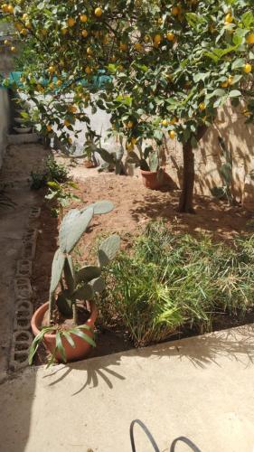 Buonavacanza in Casa Santa