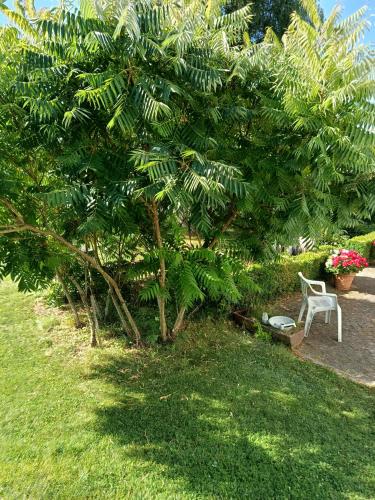 Chambres au calme en Ardenne in Fauvillers