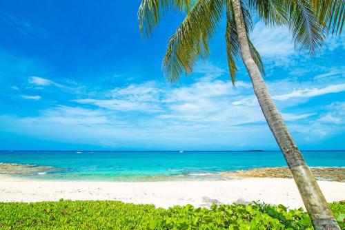 Cocoplum #1 - 2BR Oceanfront Condo on Seven Mile Beach - image 5
