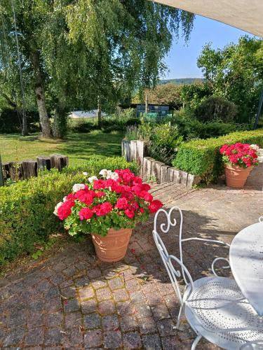 Chambres au calme en Ardenne in Fauvillers