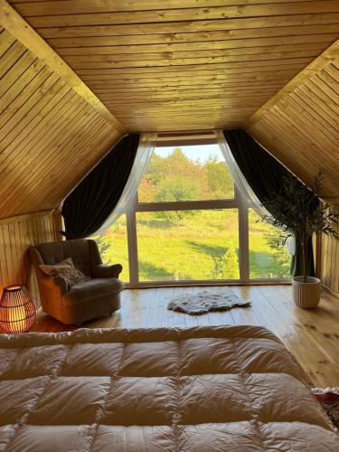 Roua Chalet, Nemţişor (Foto 10)