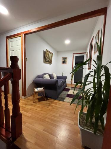 El Relajo de Santa Cruz in Palmilla