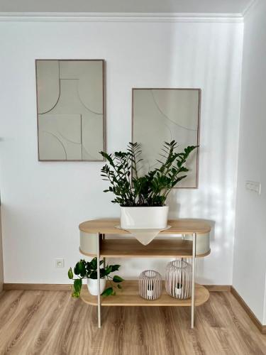 Die Harmonie - Modern Apartment near City Center with Free Private Parking, Bratislava (photo 10)