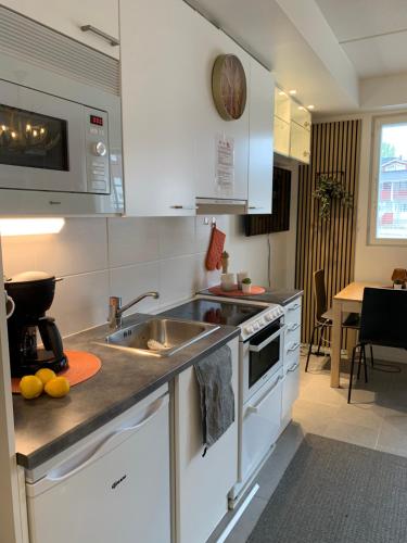 Centrum studio with sauna, Levi in Levi