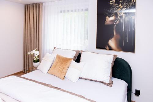 Apartamenty nad Starynką