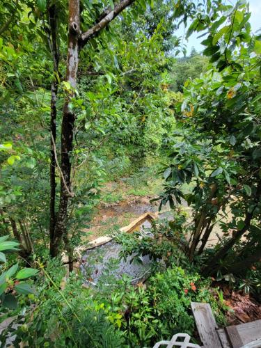 Hot spring bath, Tia's Bamboo Cottages Restaurant, Bar & Sulphur Spa in Saint George