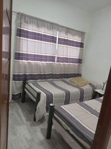 La viña (La vina) in 바리오 바호 라 비나