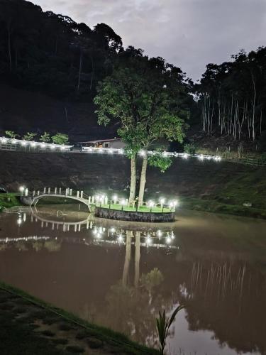 Sítio Recanto dos Pássaros (Sitio Recanto dos Passaros) in Bom Jardim