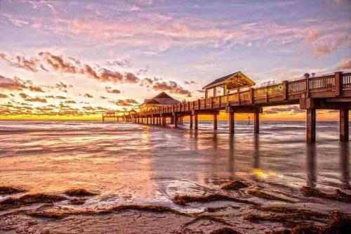 Attraksjoner i nærheten, Newly Updated 2 Bdrm Modern near Clearwater Beach in Clearwater sentrum