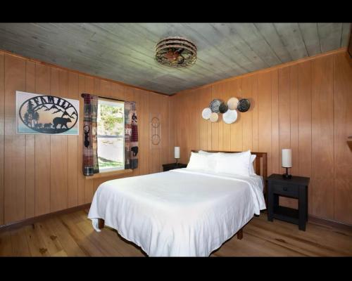 Little Bear Hideaway in Pittman Center