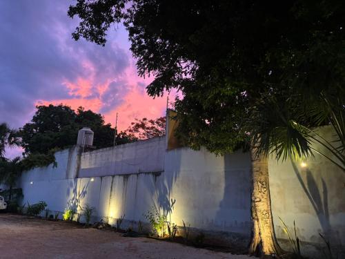 Departamentos Ixchel in Fernando Novelo