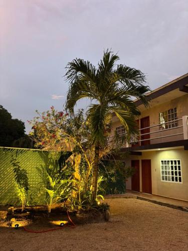 Departamentos Ixchel in Fernando Novelo