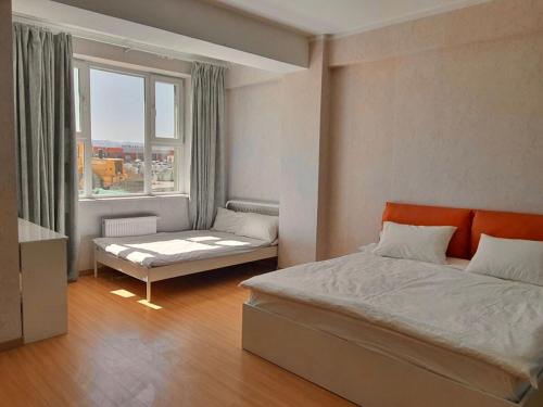 . Cozy apartment in DZ