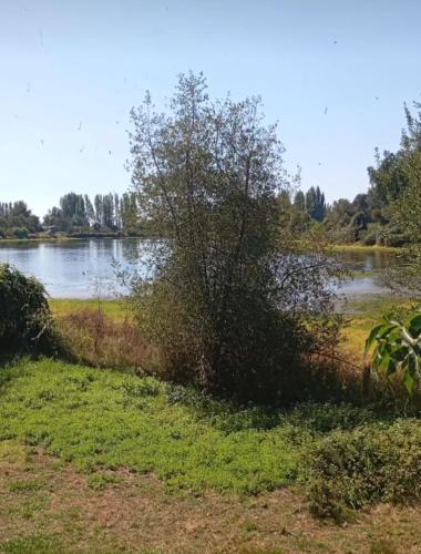 La laguna Parral in Parral
