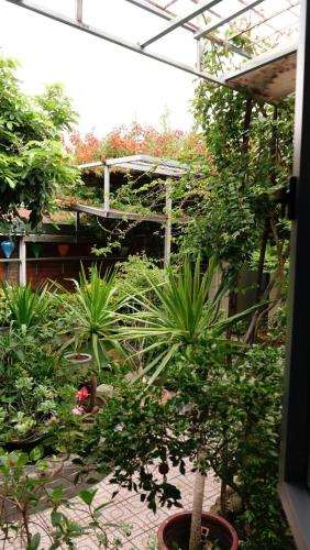 Homestay Mai Ngọc Tây Ninh - 숙소 외관
