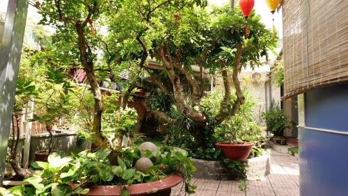 Homestay Mai Ngọc Tây Ninh - 숙소 외관