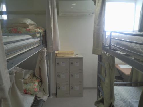 Bunk Bed in Mixed Dormitory Room