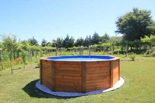 Úszómedence, Quinta Miranda in Matos