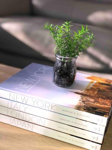 Gisborne large family home with wifi in Gisborne