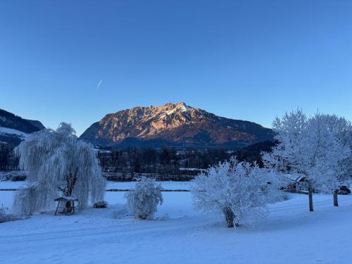Alpen Experience Apart Hotel