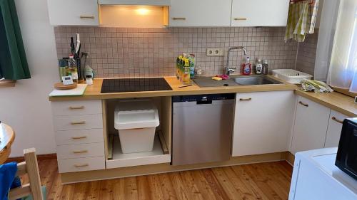 Ferienhaus Fuchsbau Hohentauern in Hohentauerna