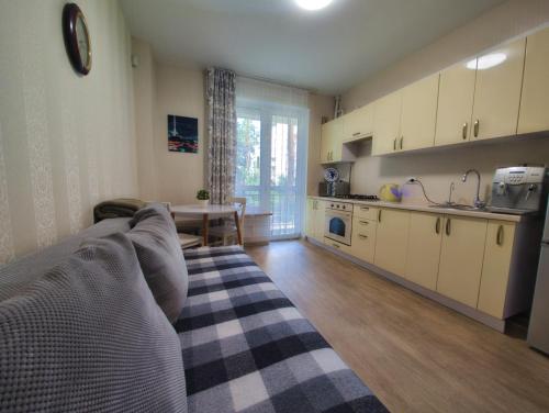 virtuve, Captain 737 Apartment in Schaslyve