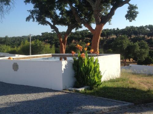 Monte das Texugueiras - Adults Only