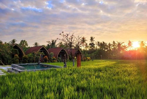Umma Bali Menjangan Retreat