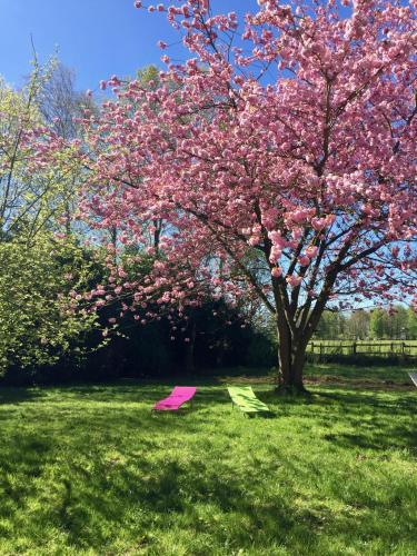 Villa Les hortensias RDC in 曼尼克维尔