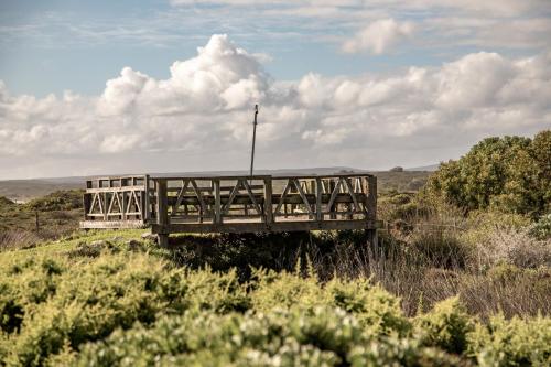 Kelkiewyn in Yzerfontein, Yzerfontein (fotografie 7)