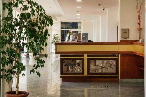 大堂, MASLINICA Mimosa Lido Palace Hotel in 拉巴茨