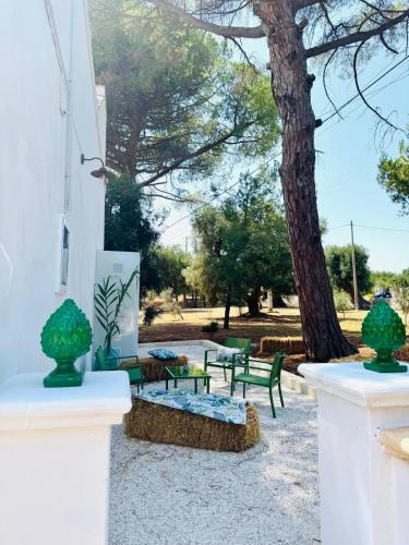 barnabeto country in ตอริเชลลา