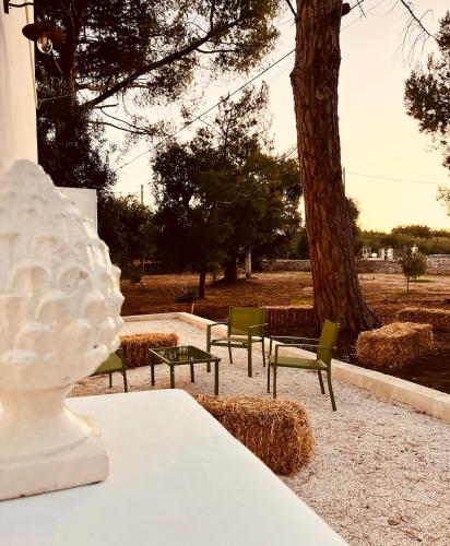 barnabeto country in ตอริเชลลา