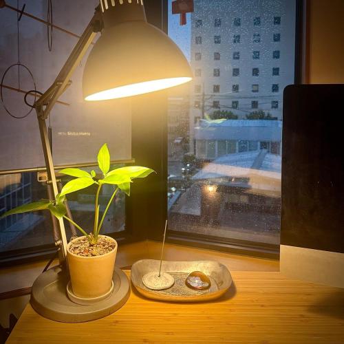 Rooftop House Cosy Stay Near Seongsu Gangnam City View Workation Friendly, Seoul (photo 8)
