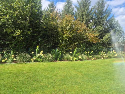 Przystanek Osłonin- całoroczny dom na wynajem
