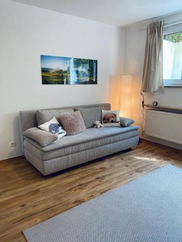 Helles, gepflegtes Souterrain Apartment in ruhiger Lage, Düsseldorf